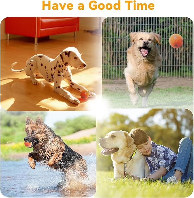 ptlsy Automatic Dog Ball Launcher Interactive Puppy Pet Ball Indoor Thrower Machine for Small and Medium Size Dogs, 3 Balls Included (2 inch) (White2, Remote)