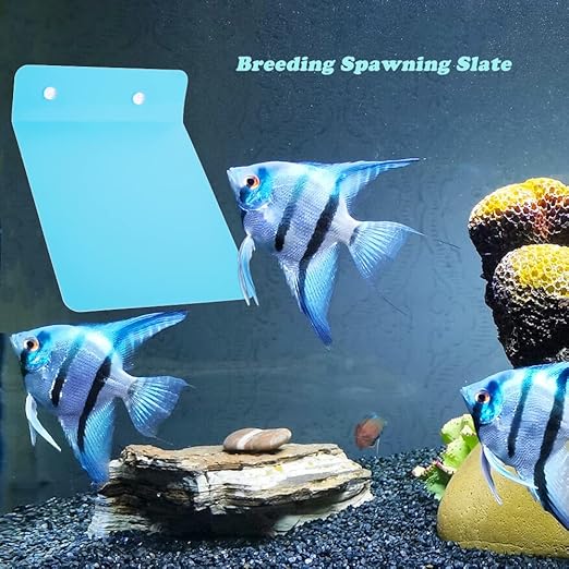 2 Pack Angelfish Discus Breeding Slate, Fish Breeding Spawning Slate Spawning Surface for Aquarium Fish Egg Laying