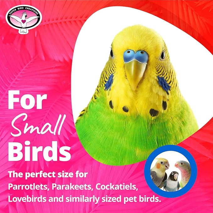 Super Bird Creations SB891 Balsa Bling Bird Toy, Small Bird Size, 7" x 2.5"