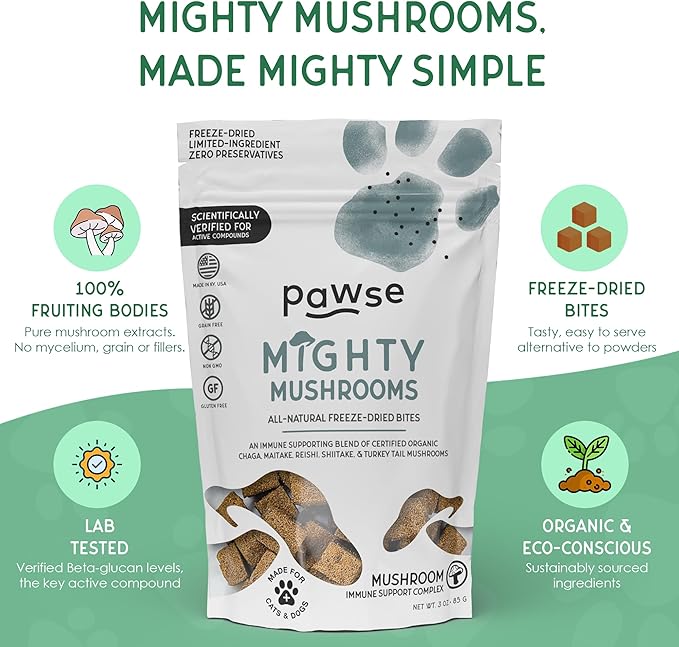 Mighty Mushroom Chews Supplement for Dogs & Cats | Blend of Turkey Tail, Reishi, Chaga, Maitake & Shiitake | for Immune System, Lumps & Bumps, Gut Health & Skin Support | 60 Chews