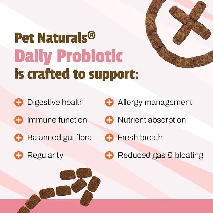 Pet Naturals Probiotics for Dogs – 160 Soft Chews, Dog Probiotic for Digestive & Gut Health Support with 120M CFUs + Prebiotics, Immune Support for Occasional Upset Stomach, Duck Flavor, All Breeds