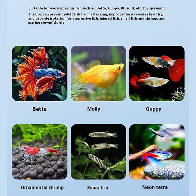 Net Breeding Box Floating Hatchery Incubator Quick Setups in Tanks Multipurpose Fish Shrimp Habitat Mesh Breeding Habitat