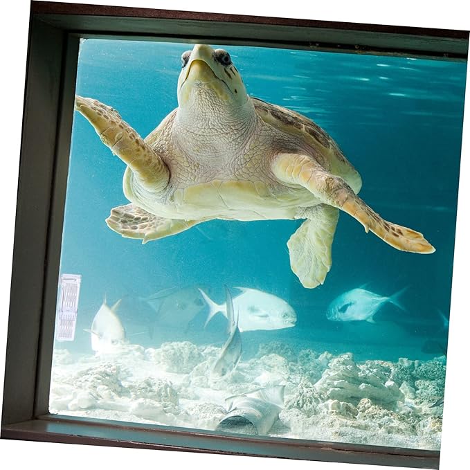 GANAZONO Breeding Tank Isolation Box Transparent Aquarium Fish Hatchery for Fry Separation and Observation Dual Chamber Design Construction