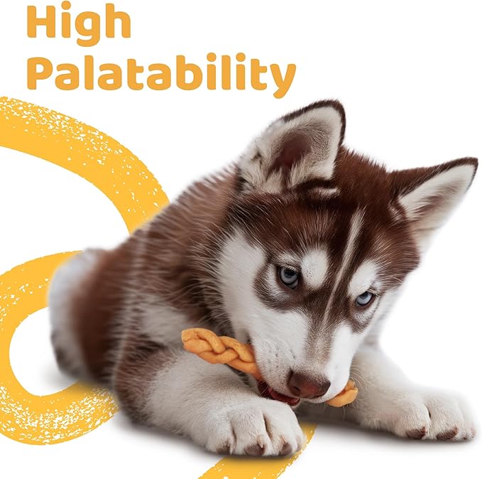 iPaw 5 Stock-Up Combo Turkey Dog Treats, All Natural Human Grade Dog Treat, Suitable for Training chew, US Sourced Raw Material, Hypoallergenic, Rawhide Alternative, Braided Stick (Pumpkin)