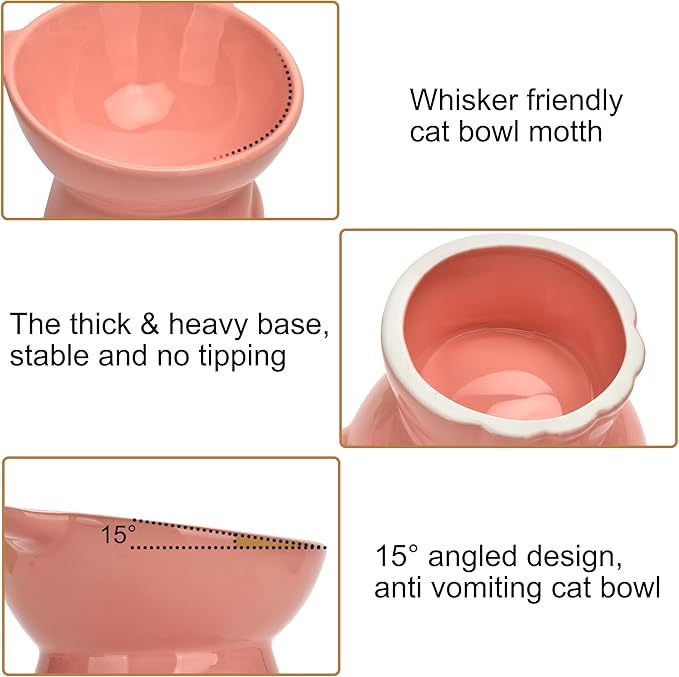 Elevated Cat Food Bowl,9 Oz Ceramic Raised and Tilted Water Bowl,Anti Vomiting and Protect Pets Spines Dishes for Fat Faced Cat, Indoor Cats,Kitten,Small Dog (Black)