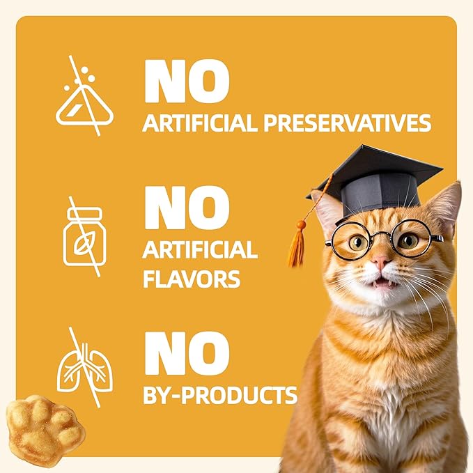 Wellix 13.05oz Salmon Oil for Cat Treats - Omega-3 for Skin and Coats Supports - Taurine, Vitamins Treats for Indoor Cats - Healthy Crunchy Kitten Snacks for Training,Food Toppers
