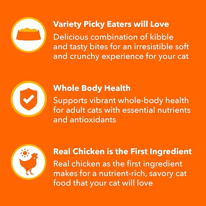 IAMS Healthy Enjoyment Dry Cat Food Chicken & Beef Recipe, Cat Food Dry Recipe, 6 lb. Bag