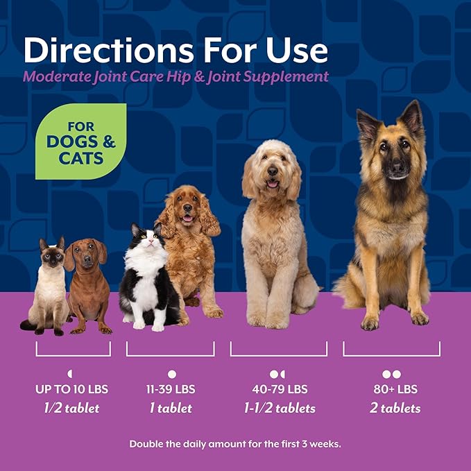 NaturVet Glucosamine DS Plus Level 2 Moderate Care Joint Support Supplement for Dogs and Cats, Chewable Tablets Time Release, Made in The USA, 120 Count