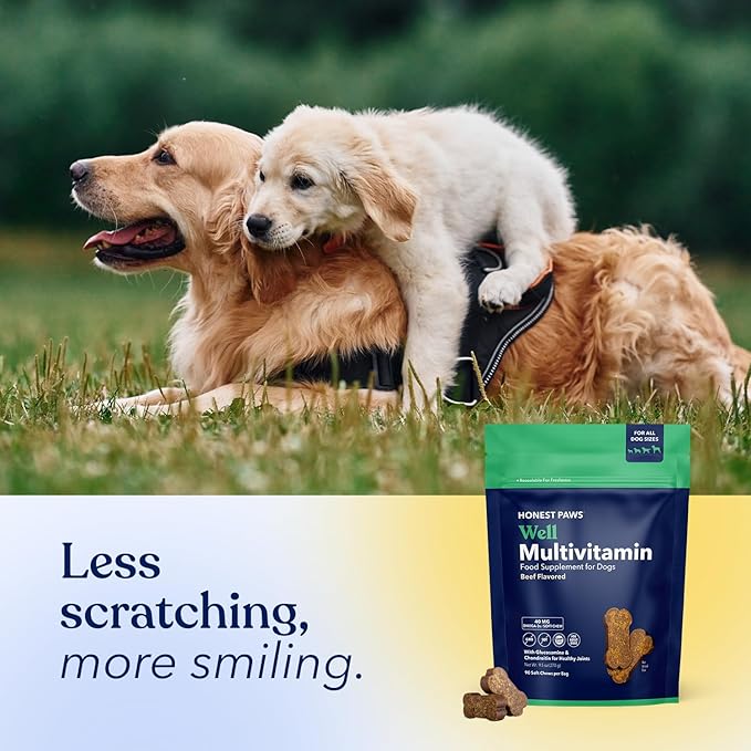 Honest Paws (90 Count) Dog Multivitamin Soft Chews with 10 Essential Vitamins - Joint, Coat, Immune, Eye & Heart Support - with Glucosamine, Chondroitin & Omega-3 - Beef Flavor (Pack of 2)