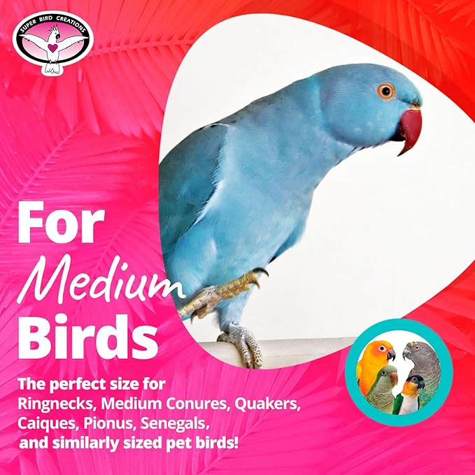 Super Bird Creations SB1206 Foraging Cubes Bird Toy - Interactive Bird Toy for Foraging Fun & Mental Stimulation - Parrots Ringnecks Medium Conures - Fillable with Treats - Ideal for Medium Bird Size