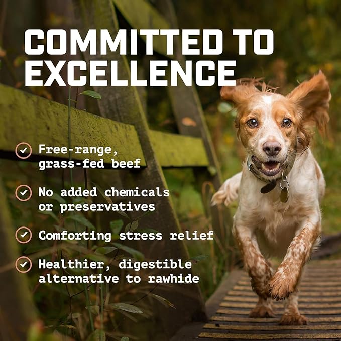 Wild Wolf 12-inch Angus Bully Sticks (8oz./~5 Sticks) Healthy, All-Natural, Long-Lasting Dog Chew Bones - Low Odor - Mixed Thickness - Lab-Tested, Hand-Inspected and Packed with Love in The USA