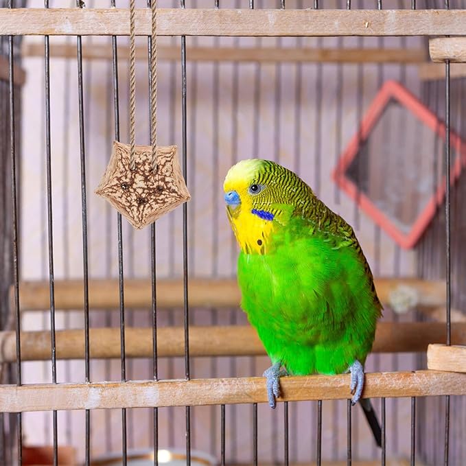 12pcs Natural Parrot Chewing for Budgie Parakeet Bird Foraging Accessories with Crunchy Texture Healthy Beak Grinding to Prevent Furniture Damage and Loneliness