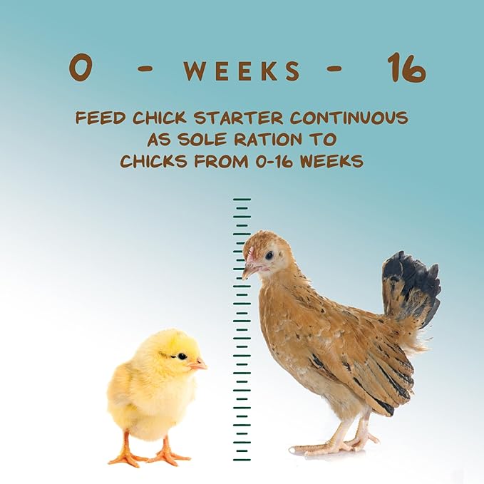 Manna Pro Chick Starter Feed, Non-Medicated Chicken Feed with Vitamins & Minerals, Complete Nutrition for Baby Chicks, 5 lb Bag
