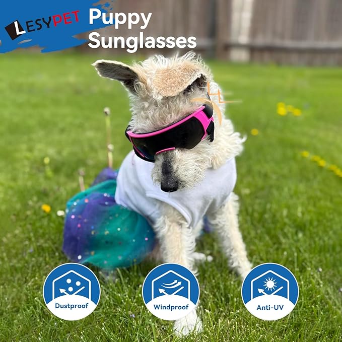 LESYPET Dog Sunglasses for Small Breed, UV Wind Dust Protection Dog Goggles for Pet Outdoor Driving Riding, Pet Glasses Eye Wear with Adjustable Strap, Silver