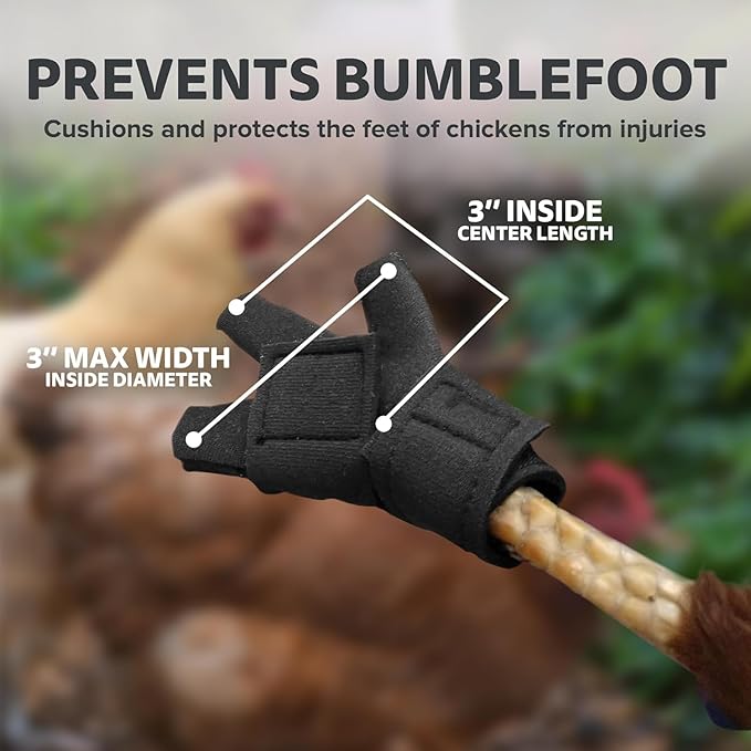 Chicken Shoes for Injured Feet – Protective Neoprene Footwear for Chicken, Open-Toe Design for Bumblefoot Relief, Made in USA (Chicken Shoes, Gray, Medium Chickens)