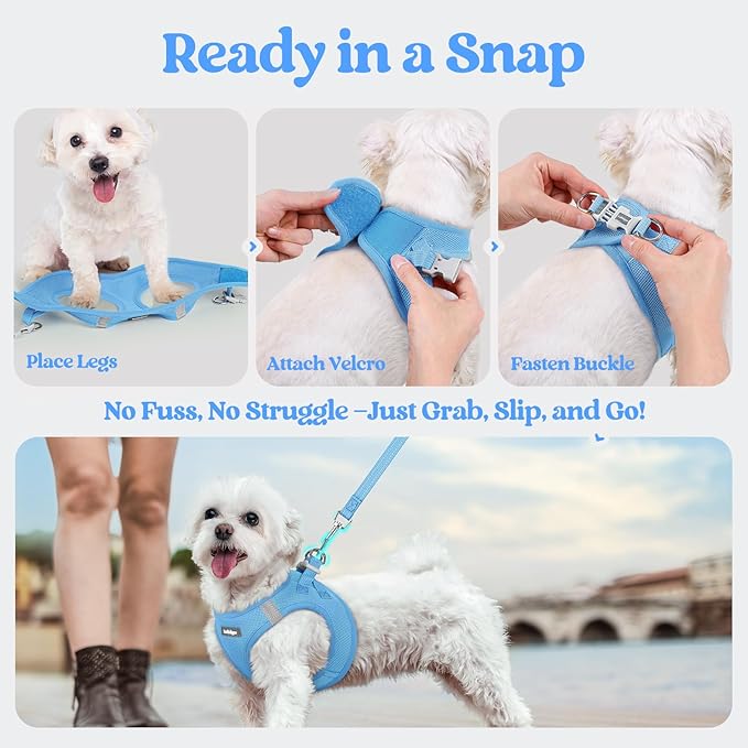 rabbitgoo Dog Harness Small Medium Sized and Leash Set, Step in Soft Light Puppy Vest, Breathable Mesh Pet Harness, Reflective for Safe Easy Walking, Blue XL