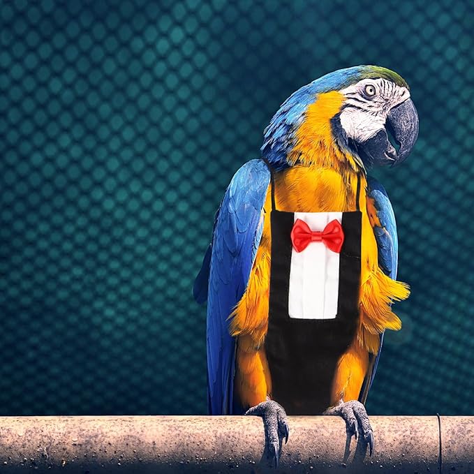 Alasum Reusable Washable Parrot Diaper Flight Suit with Bowtie Black and Red Bird Nappy Outfit for Budgie Cockatiel Conure Travel Home Decor (2Pcs XL)