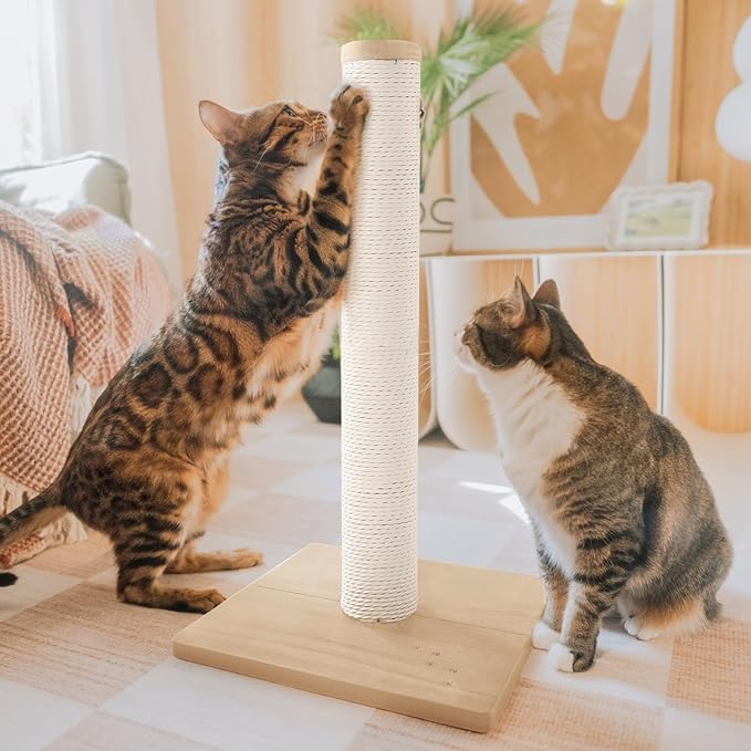 Necoichi 23.6” Tall Cat Scratching Post Kitten Scratcher Paper Rope Scratch Posts Trees with Hanging for Indoor Cats (23.6 inches for Kitty, Regular, Oak)