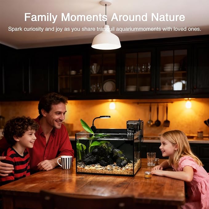 Fish Tank,2.8 Gallon Small Aquarium Kit,Glass Small Fish Tank,Betta Fish Tank with Light and Filter, Small Transparent Glass Fish Tank with Light and Filter