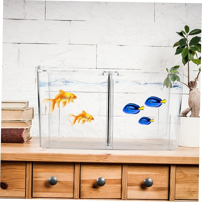 Fish Breeding Isolation Box Multi Functional Aquarium Breeding Container for Fry Hatching and Easy to Clean for Isolating Aggressive Fish and Protecting
