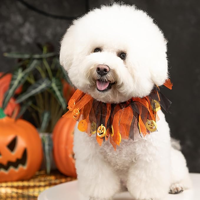 Dog Halloween Costume - Pet Collar Tutu for Small Medium Dogs - Orange St Halloween Day Pet Costume