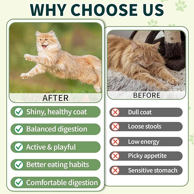 Cat Probiotics Tasty Chews –500 Chews Crunchy & Creamy Texture, Fish Oil Omega-3 Skin & Coat Health Digestive & Gut Support, Constipation Relief, Healthy Stool, Chicken Krill Flavor