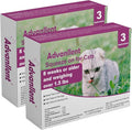 Flea and Tick Prevention for Cats, Flea and Tick Treatment for Cat Kitten, Flea & Tick Control, Over 1.5 Pounds, 6 Doses