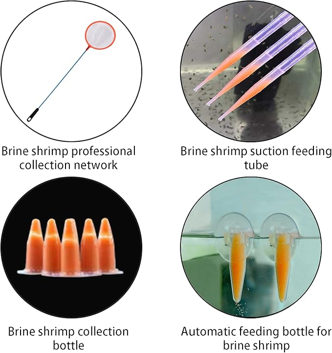 Brine Shrimp Hatchery Kit - Artemia Eggs Incubator