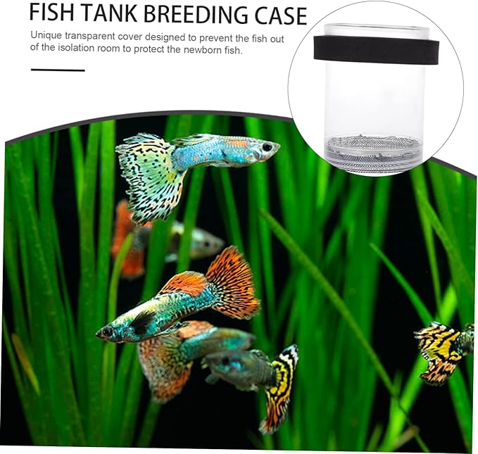 Guppy Breeder Box Aquarium Isolation Fish Hatchery Tank with Transparent Cover for Newborn Fry Protection and Pregnant Guppy Separation