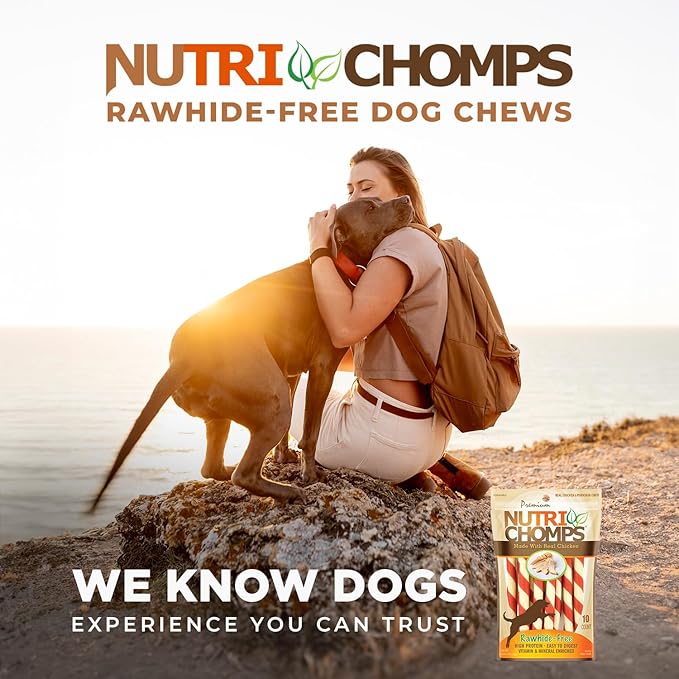 NutriChomps Dog Chews 5-inch Twists, Easy to Digest, Rawhide-Free Dog Treats, Real Peanut Butter Flavor & Real Chicken Flavor (NT112V) - 10 Count (Pack of 2)