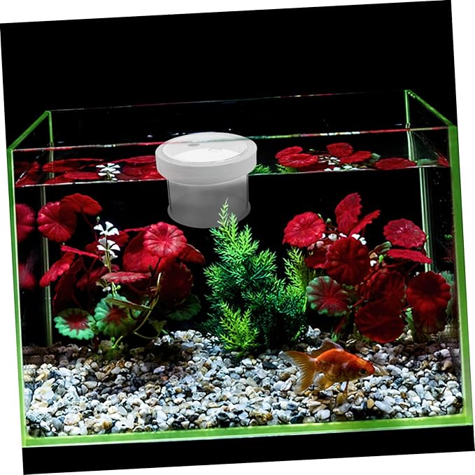 NOLITOY 3pcs Fish Box Floating Aquarium Breeding Box Transparent Isolation Tank for Fish Lightweight Design Removable Cover for Home Use and Quick Adaptation