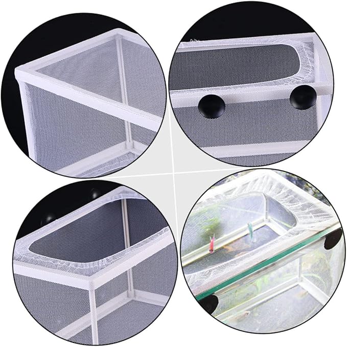 3pcs Fish Breeder Isolation Box for Aquariums Large Capacity Mesh Hatchery Cups Design for Easy Observation Easy to Clean Fish Breeding Tank