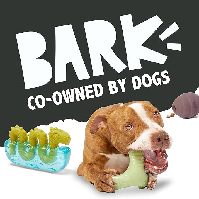 Barkbox Potato 2-in-1 Dog Toy - Tough Plush Squeaky Chew Toy for Large Dogs | Large