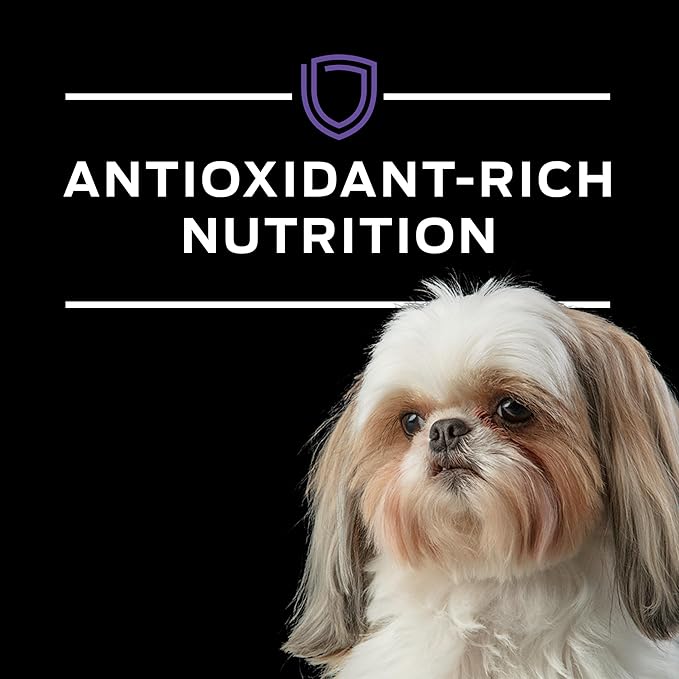 Pro Plan Veterinary Diets Purina NF Kidney Function Canine Dog Food Dry Formula - 6 lb. Bag