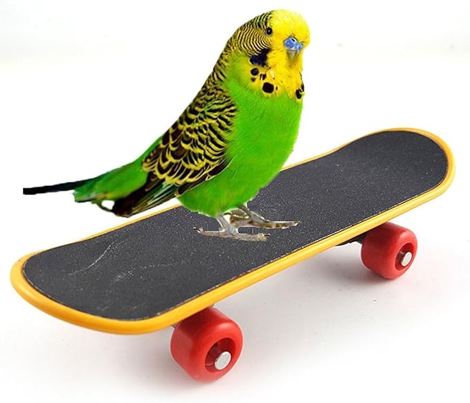 Bird Parrot Intelligence Toys Training Skateboard Stand Perch for Parakeet Budgies Cockatiels Lovebird Funny Talbe Toy