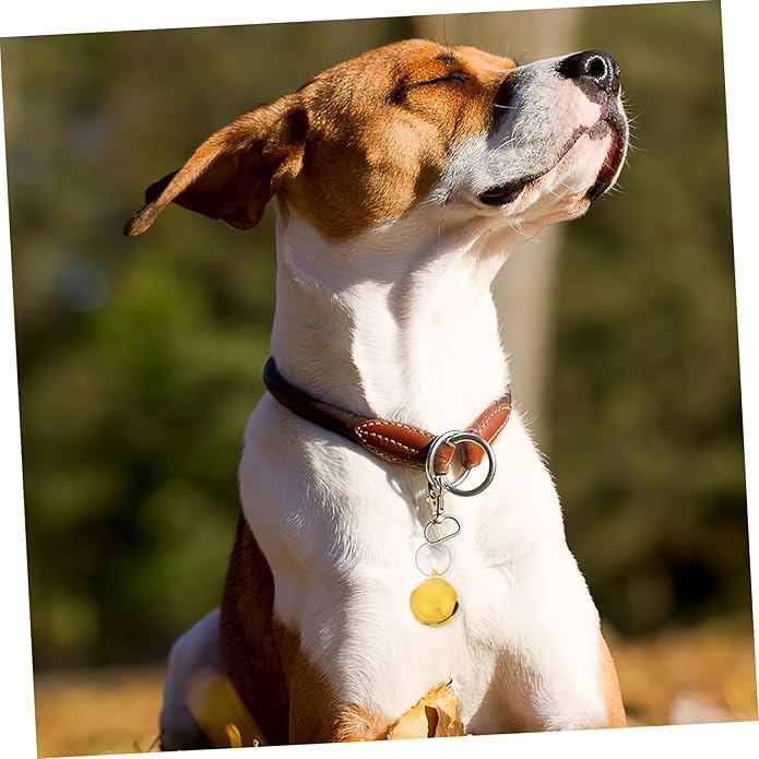 Pet Collar Bells Cute Charms for Dogs and Cats Crisp Sound for Easy Training Simple Installation for