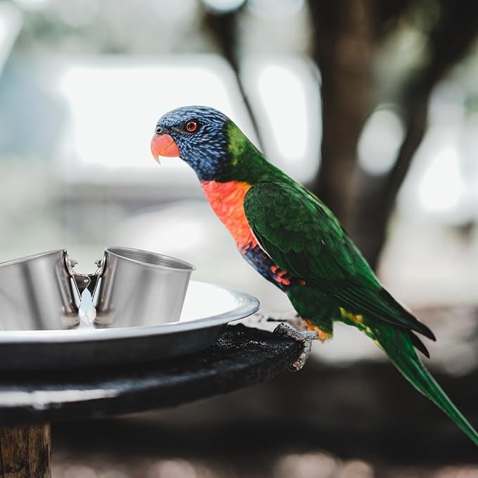 POPETPOP 2pcs Stainless Steel Bird Feeder Bowls with Clamp 5.5cm and 7cm Feeding Cups for Parrots and Small Birds for Feeding and Watering Supplies