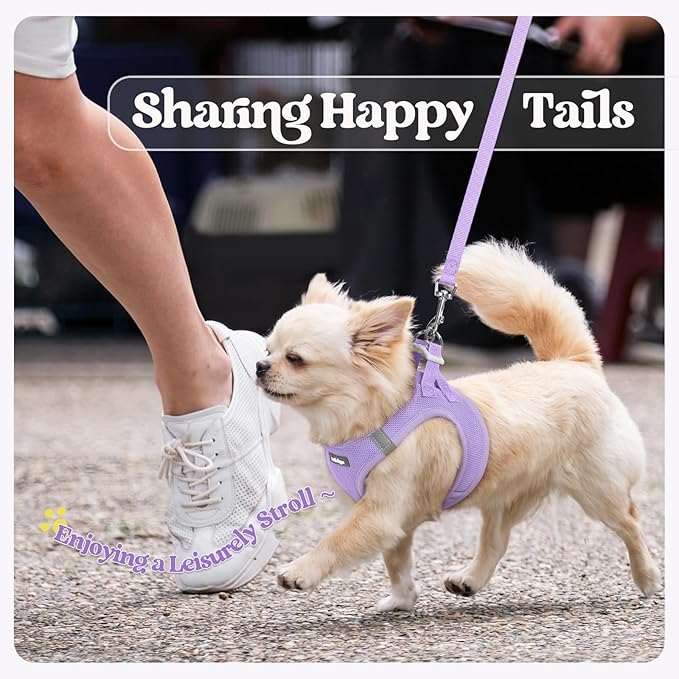 rabbitgoo Dog Harness Medium Sized and Leash Set, Step in Soft Light Puppy Vest, Breathable Mesh Pet Harness, Reflective for Safe Easy Walking, Light Purple XXL