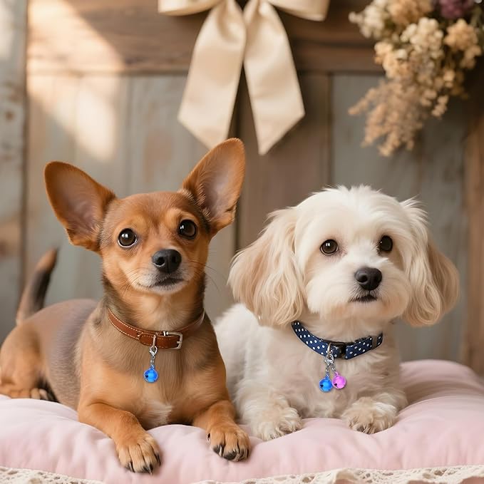10Pcs Bell for Dog Cat Collar Dog Cat Bell for Collar with Loud Crisp Sound Dogs Collars Charm Small Pet Collars Bells Pet Bells Gifts for Christmas Decoration(Colourful)