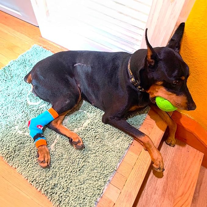 PawFlex Comfy Pawz Cotton Nonslip Protective Leggings for Dogs | Medical Pet Sleeve for Dogs Legs with Non-Slip Silicone Grip at Inner Cuffs and Adjustable Strap for No Twisting or Sliding Down