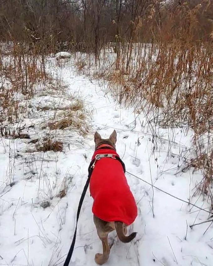 Gooby - Stretch Fleece Vest, Pullover Fleece Vest Jacket Sweater for Dogs, Red, 3X-Large