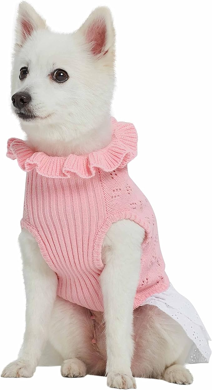 Blueberry Pet My Cutie Princess Ruffle Collar Dog Sweater Dress with Guipure Lace, Pink, Back Length 14", Fall Winter Clothes for Girl Dogs