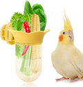 Bird Cage Feeder for Vegetable, Parrot Veggies Holder with Water-Storage Design to Keep Greens Fresh, No Mess Hanging Millet Feeder for Parakeet, Quick Clean Clip, No Spill Feeders for Parrots