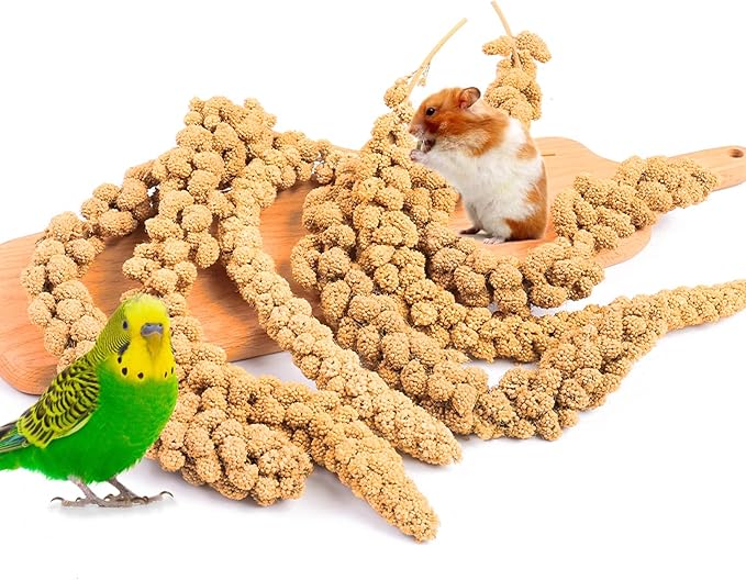 Fhiny Millet Spray for Birds, 1.1LB Natural Sun-Dried Millet for Birds Original Parakeet Food & Treats Spray for Parakeets Parrots Cockatiels Lovebirds Finches Budgies Hamsters