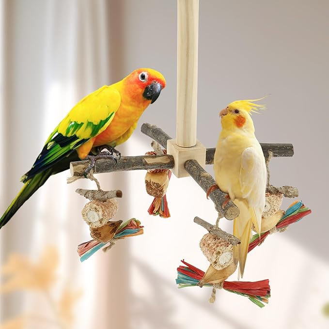 Agape Rotating Parrot Perch Toy with Chew Toy - Natural Wooden Perch Stand, 360° Rotatable Parrot Exercise Standing Perch, Bird Cage Accessories for Small and Medium Sized Birds (String Bite Style)
