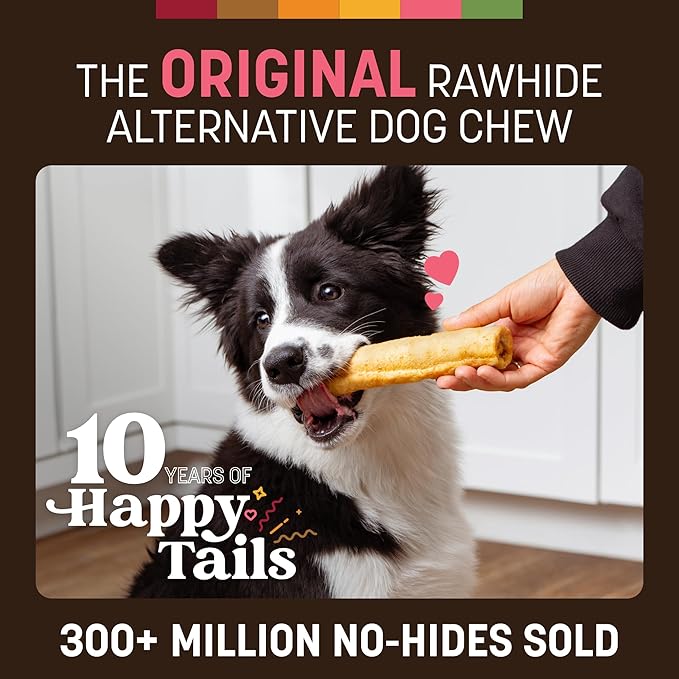 Earth Animal No Hide Chews - Long Lasting Rawhide Free Medium Dog Chews Rolls, Salmon - 2 Count