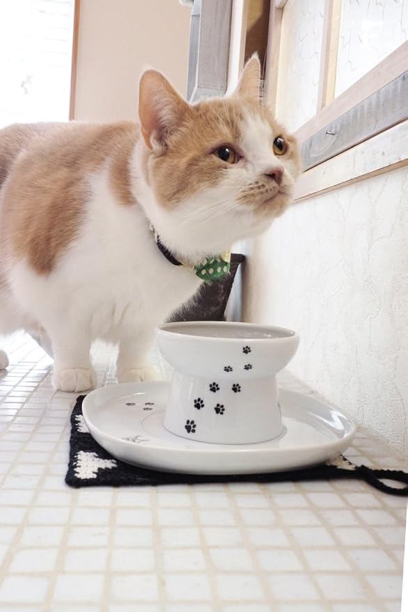 Necoichi Raised Cat Bowl Dining Tray (White, Single)