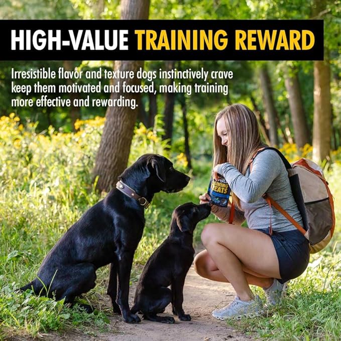Wild Blueberry Elk & Venison Dog Training Treats (4 Ounce (1 Pack), Blueberry)