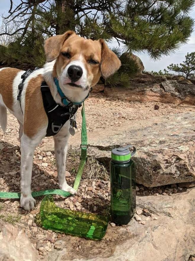 OllyDog OllyBottle | Tritan Dog Water Bottle with Detachable Bowl | BPA Free Leakproof Pet Dispenser | Hiking Travel (1L, Grass)