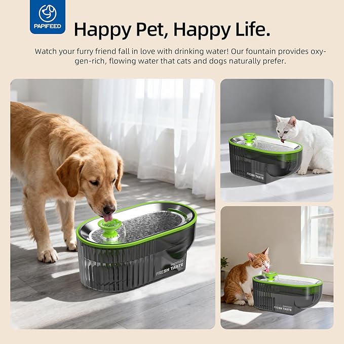 Cat Water Fountain Stainless Steel with a Silicone Mat, 84oz/2.5L Automatic Cat Water Fountain with Water Level Window and LED Light, Quiet Low Power Cat Water Bowl & Cat Water Dispenser (Green)